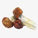 Blue Pulaski Magic Mushrooms
