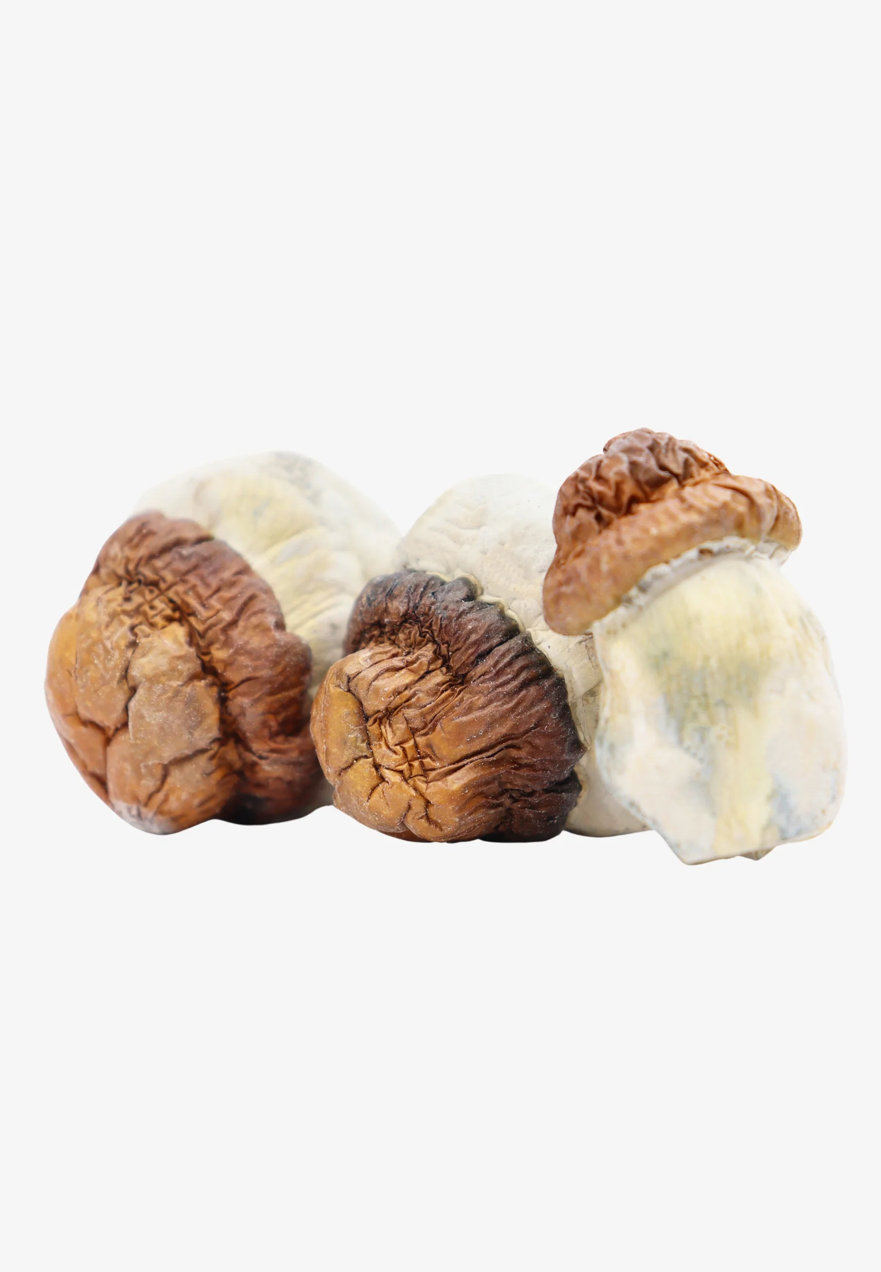 CODE-BLUE.webp Code Blue Magic Mushrooms - Image 1