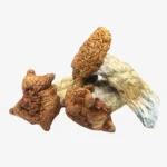 King Kong Magic Mushrooms