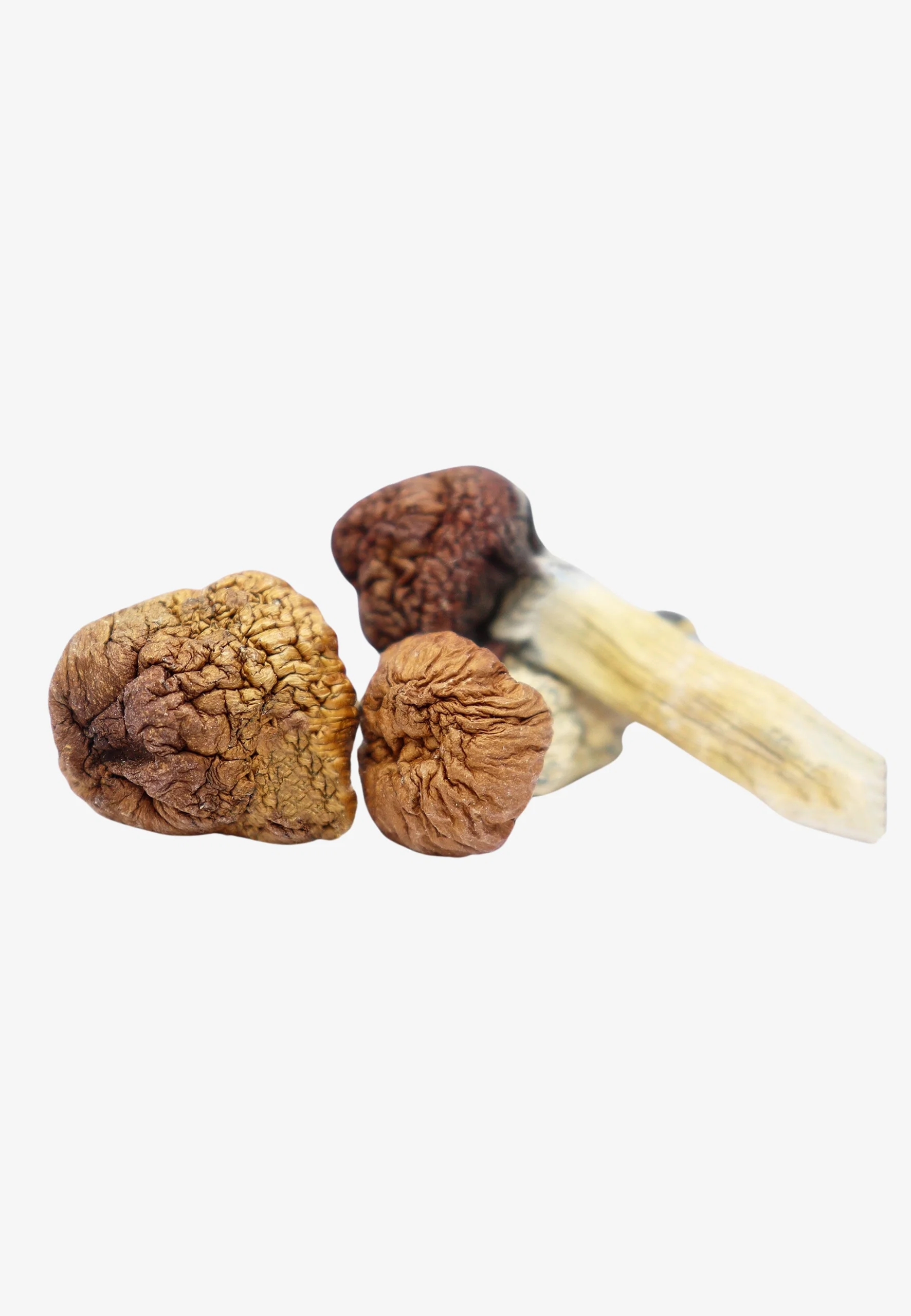 MAZATAPEC.webp Mazatapec Magic Mushrooms - Image 1
