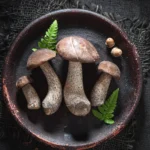 Delicious Mushroom-Infused Edibles