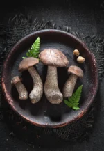 Delicious Mushroom-Infused Edibles