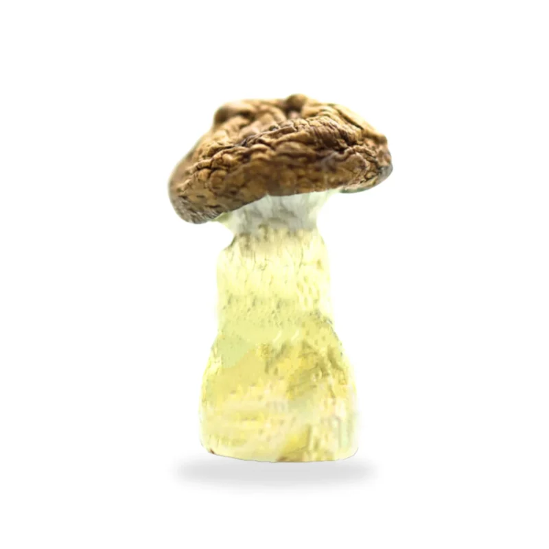 Penis-Envy-Dino-Eggs-Magic-Mushrooms-2-1-1536x1536-1