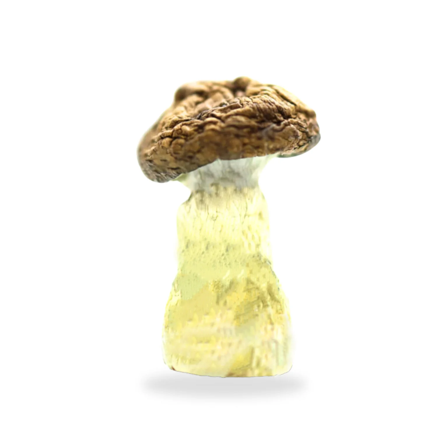 Penis-Envy-Dino-Eggs-Magic-Mushrooms-2-1-1536x1536-1 Penis-Envy-Dino-Eggs-Magic-Mushrooms-2-1-1536x1536-1