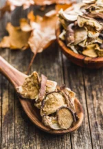 Premium Dried Mushroom Collection
