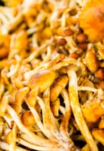 Premium Dried Mushroom Collection - Image 2