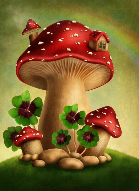 magic mushrooms img 2