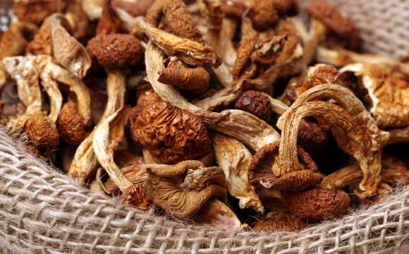 dried mushrooms image for homepage
